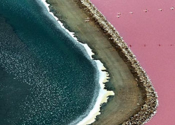 Concours photo Nature sauvage