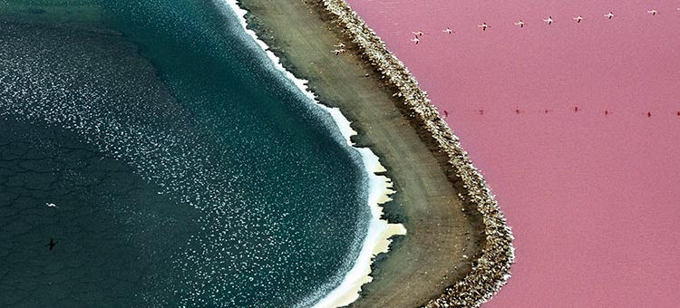 Concours photo Nature sauvage
