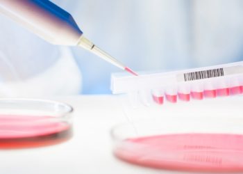 Alphenyx (Marseille) crée un nouveau site à Montpellier