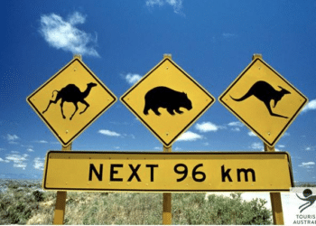 [International] Partir étudier ou travailler en Australie ? Par ici les infos !