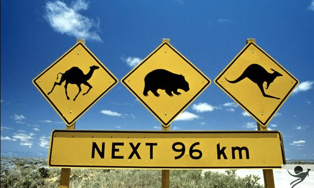 [International] Partir étudier ou travailler en Australie ? Par ici les infos !