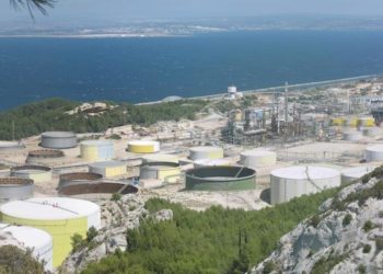 Le Conseil constitutionnel rejette l’ultime recours de Total sur l’huile de palme