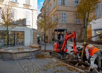 [Aix-en-Provence] La ville remplace les deux sophoras abattus en juin dernier