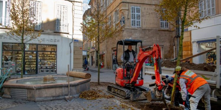 [Aix-en-Provence] La ville remplace les deux sophoras abattus en juin dernier