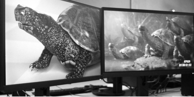 [Animation 3D] Le studio montpelliérain Bloom Pictures a la cote aux USA