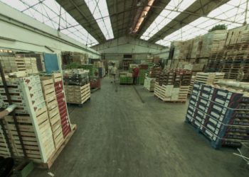 Le gestionnaire de Rungis va s'occuper du nouveau MIN de Chateaurenard (Crédit DR)