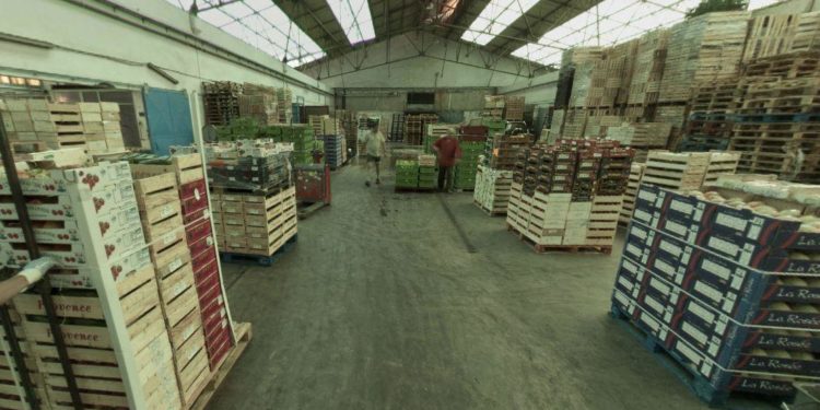 Le gestionnaire de Rungis va s'occuper du nouveau MIN de Chateaurenard (Crédit DR)