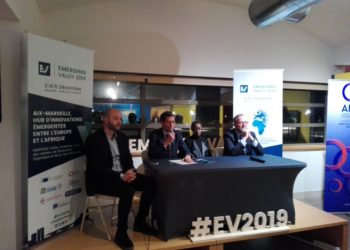 start_up_afrique_emerging_valley