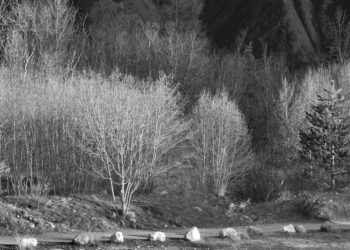 Photo Jean Bernard exposition galerie Vincent Bercker Aix