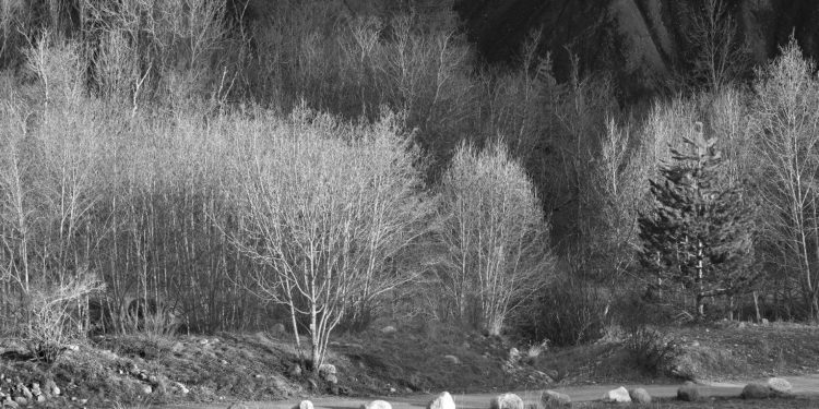 Photo Jean Bernard exposition galerie Vincent Bercker Aix