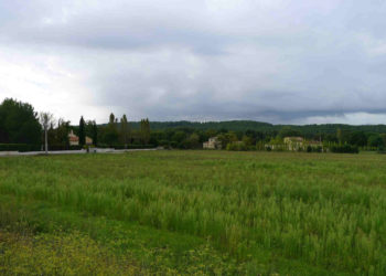 Les friches agricoles, des terrains précieux à valoriser (Photo archives).