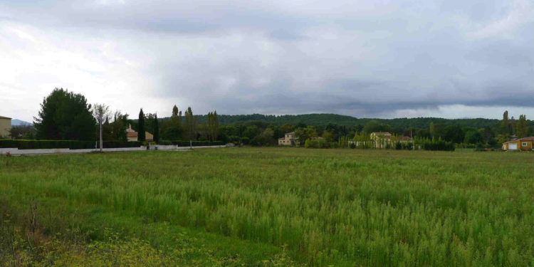 Les friches agricoles, des terrains précieux à valoriser (Photo archives).