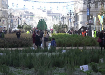 Le parcours végétal de l'artiste Gad Weil était installé sur la Canebière depuis le 13 décembre (Photo Gomet').