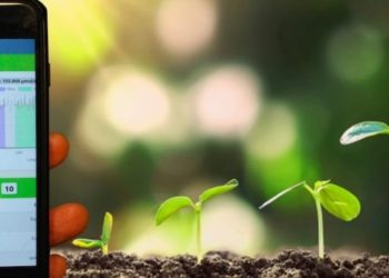 vgd-Vegetal-Grow-Development