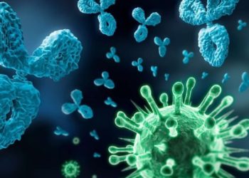 Des chercheurs marseillais découvrent le mécanisme d'activation du Coronavirus (Crédit DR)