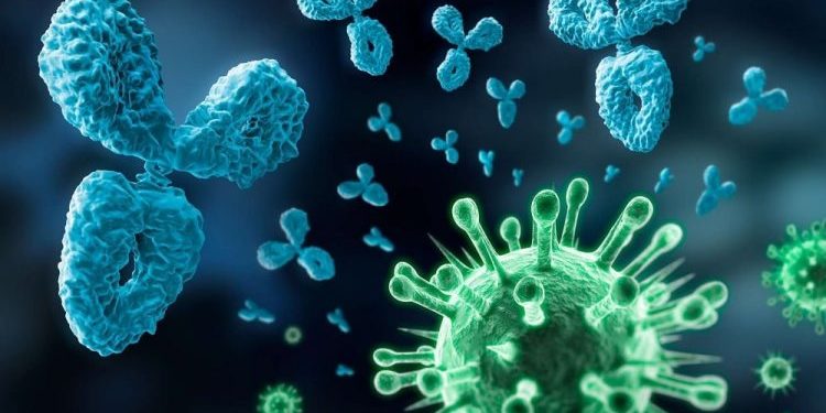 Des chercheurs marseillais découvrent le mécanisme d'activation du Coronavirus (Crédit DR)