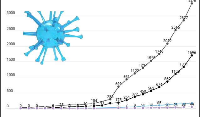 Covid-19 : 720 hospitalisations en région Sud, 44 décès