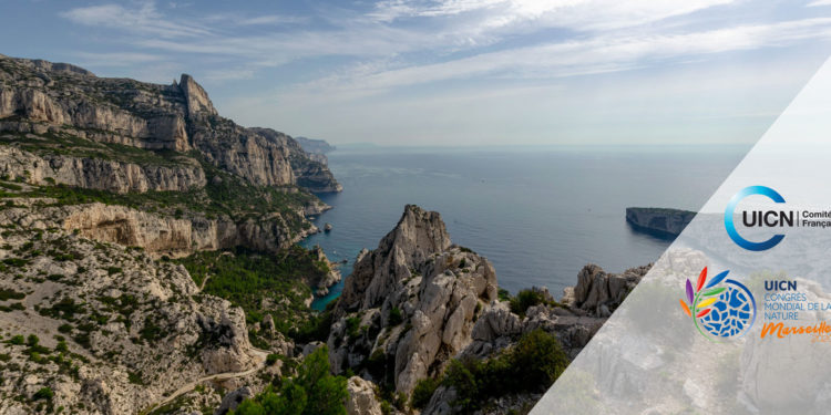 Le Congrès mondial de la nature certainement reporté (Crédit DR)