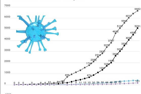 Covid-19 : plus de 900 cas nouveaux détectés dans la région