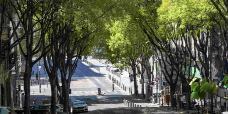 La pollution liée au trafic automobile a continué de baisser (crédit : JYD/Gomet')