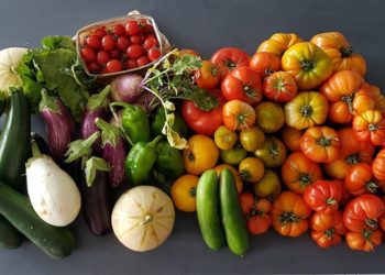 Marseille : bientôt des livraisons de produits locaux près de chez vous