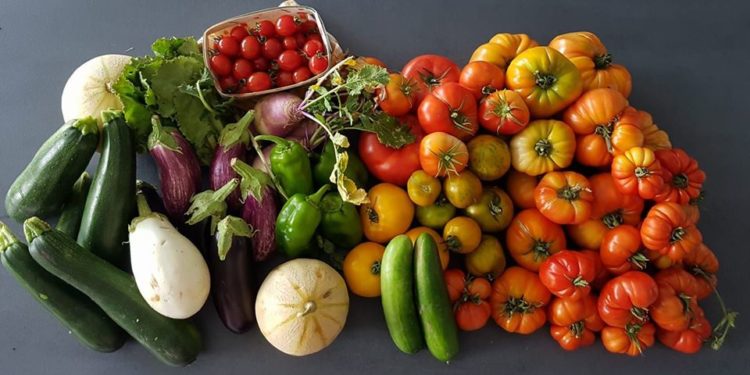 Marseille : bientôt des livraisons de produits locaux près de chez vous