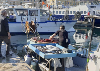 Le marché aux poissons du Vieux-Port à Marseille samedi 11 avril 2020 (Crédit : JYD/Gomet').