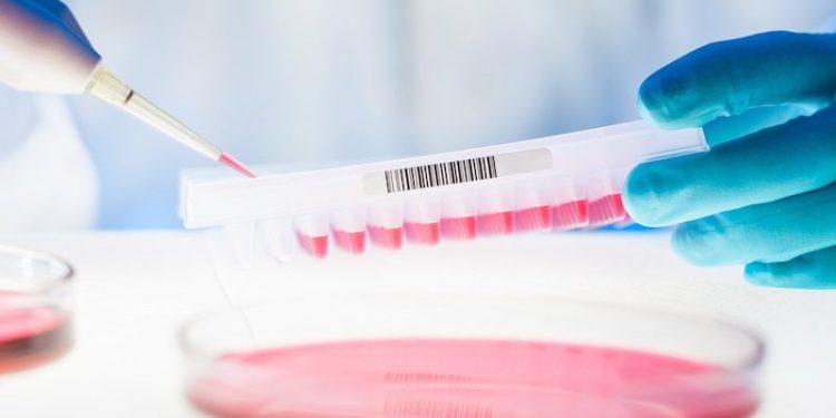 Eurobiomed dévoile son plan pour relancer la filière santé