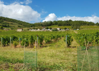 L’agence de l’eau finance les agriculteurs pour protéger la nature