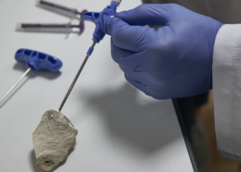 Biologics 4 Life reçoit 250 000 euros du fonds French Tech Seed (Crédit DR)