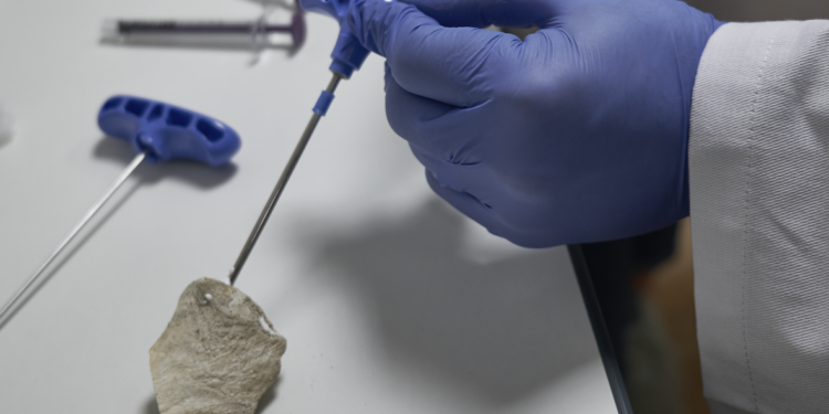 Biologics 4 Life reçoit 250 000 euros du fonds French Tech Seed (Crédit DR)