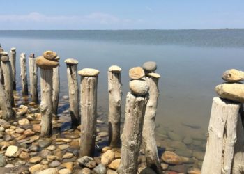 En bordure de l'étang de Vaccarès au coeur du Parc naturel régional de Camargue. (Crédit Gomet')