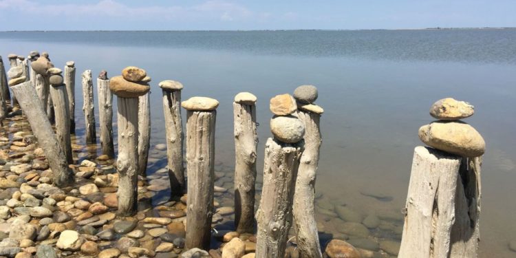 En bordure de l'étang de Vaccarès au coeur du Parc naturel régional de Camargue. (Crédit Gomet')