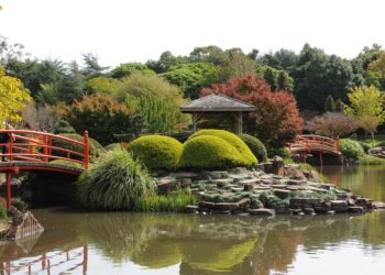 Le jardin botanique du Parc Borély compte plus de 3000 espèces végétales (Crédit @Pixabay)