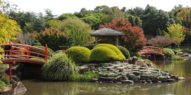 Le jardin botanique du Parc Borély compte plus de 3000 espèces végétales (Crédit @Pixabay)