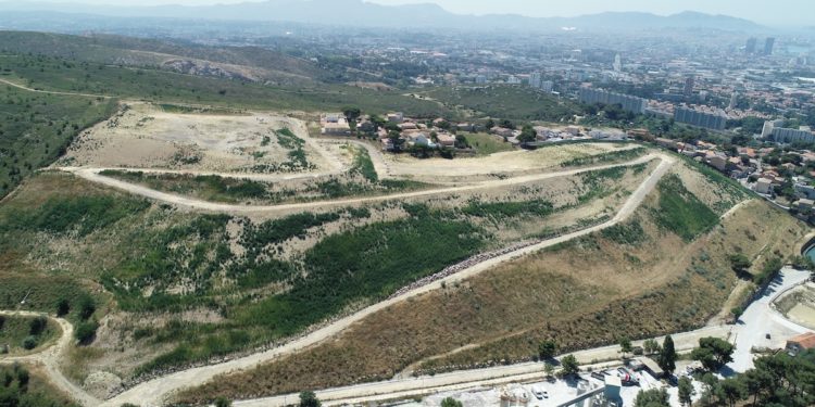 Le terrain de 10 hectares qui accueillera la ferme photovoltaïque (Crédit DR)