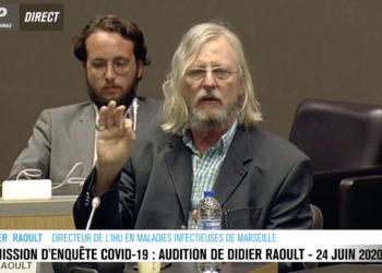 Didier Raoult devant les députés mercredi 24 juin (Capture LCP).
