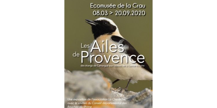 Saint-Martin-de-Crau : une exposition pour planer avec « Les Ailes de Provence »
