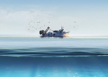 [Entreprises] Seafoodia veut connecter les pêcheries du monde aux consommateurs