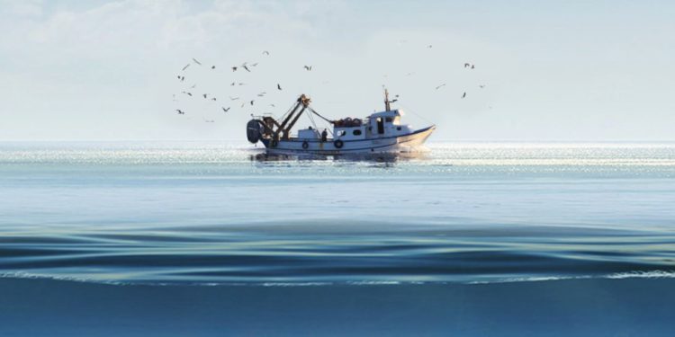 [Entreprises] Seafoodia veut connecter les pêcheries du monde aux consommateurs