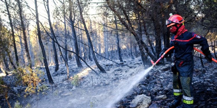 1800 pompiers ont été mobilisés pour maîtriser l'incendie le plus grave de l'été en France (Crédit Pompiers_13)