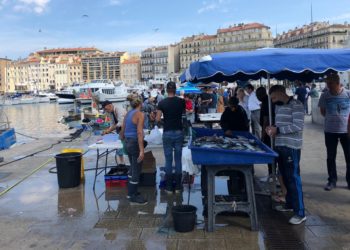 Le Vieux-Port à Marseille (Crédit archives Gomet'/JFE).