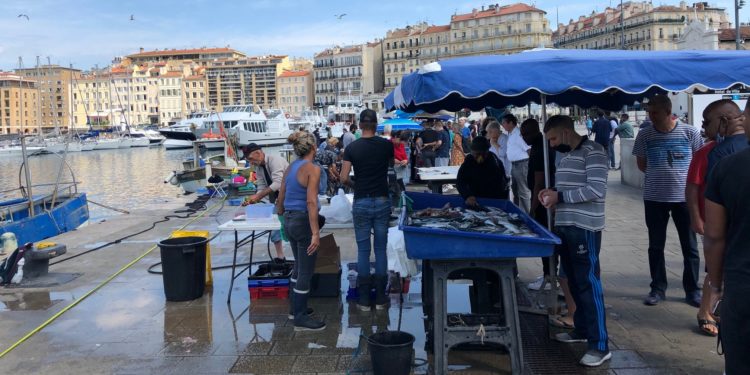 Le Vieux-Port à Marseille (Crédit archives Gomet'/JFE).