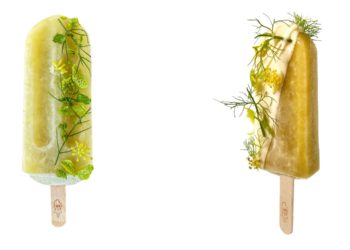 La glace Vert Calanque d'Emkipop by Passedat. Bien placée pour devenir un hit ! (Crédit DR)