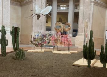 Manifesta 13 s'installe à la Vielle Charité (Crédit : Lena Cardo)