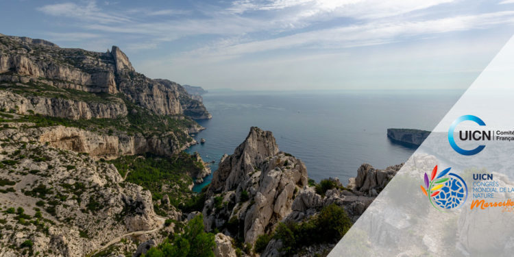 Le congrès mondial de la nature prévu en janvier à Marseille est reporté (Crédit DR)