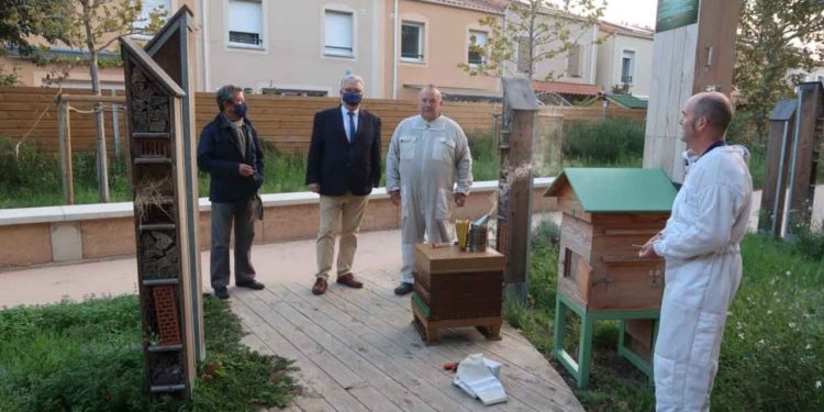 Installation de ruches pédagogiques en septembre à Miramas (Crédit : ville de Miramas).