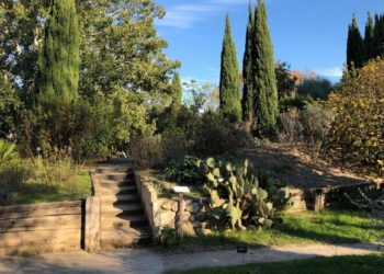 La richesse de la biodiversité méditerranéenne présentée au jardin botanique de Marseille (Crédit Gomet'/JFE)