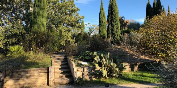 La richesse de la biodiversité méditerranéenne présentée au jardin botanique de Marseille (Crédit Gomet'/JFE)