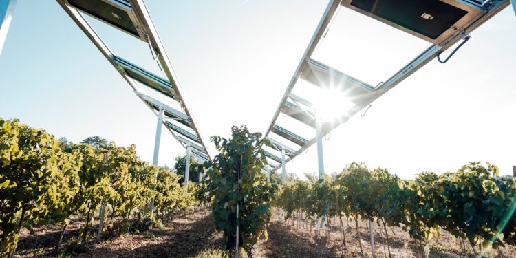 Mirova a investi dans Ombrea